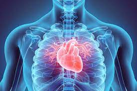 heart specialist in Bangalore